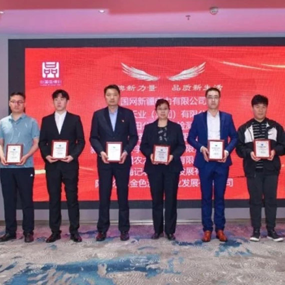 بناء العلامة التجارية | حصل مصنع Shengxiong Energy للكلور القلوي على جائزة منتدى تطوير بناء العلامة التجارية عالية الجودة في شينجيانغ السابع ووحدة العرض المشاركة في "يوم العلامة التجارية الصينية"