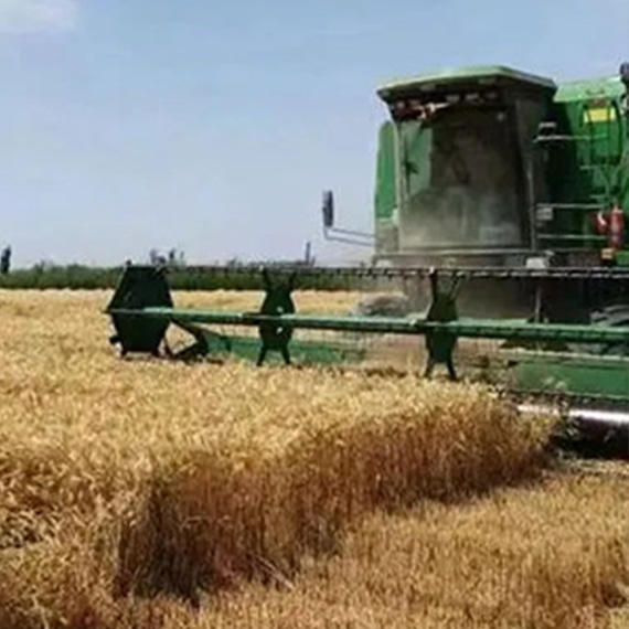 الأداء الاقتصادي لمجموعة Xinjiang Zhongtai Group في الأرباع الثلاثة الأولى مستقر ومتحسن ، مما يُظهر مرونة